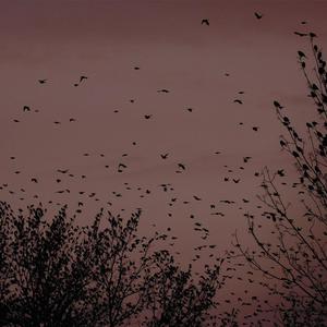 国产ktv做爱高潮视频
