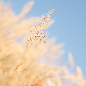 国产ktv做爱高潮视频
